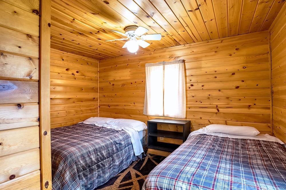 Big River Escape Riverside Cabins Buffalo City Екстер'єр фото
